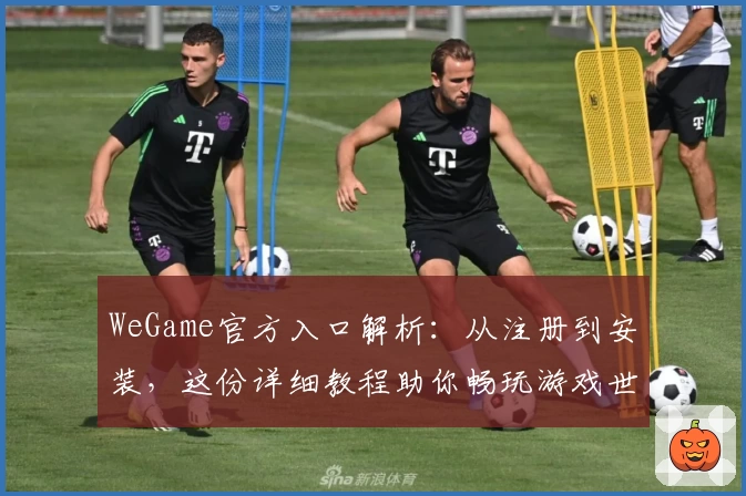 WeGame官方入口解析：从注册到安装，这份详细教程助你畅玩游戏世界